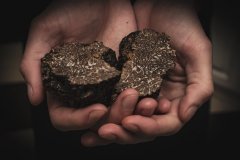 10 façons de découvrir la truffe à Aups, au coeur des Lacs et Gorges du Verdon