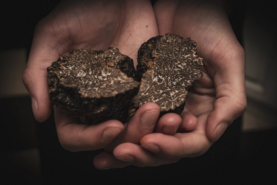 10 façons de découvrir la truffe à Aups, au coeur des Lacs et Gorges du Verdon