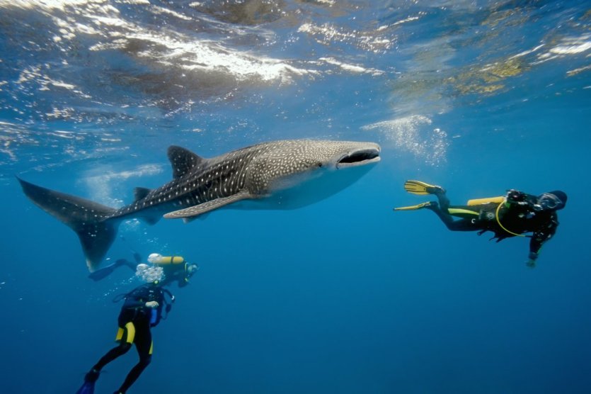 - © Krzysztof Odziomek / Shutterstock.com