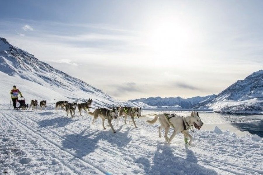 La 17ème édition de la Grande Odyssée Savoie Mont-Blanc a commencé !