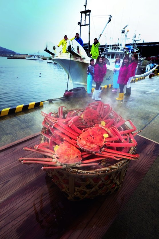 Crabe d'Echizen - © Fukui Prefectural Tourism Federation