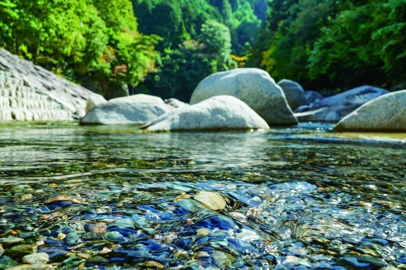 Eau pure - © Préfecture de Shiga