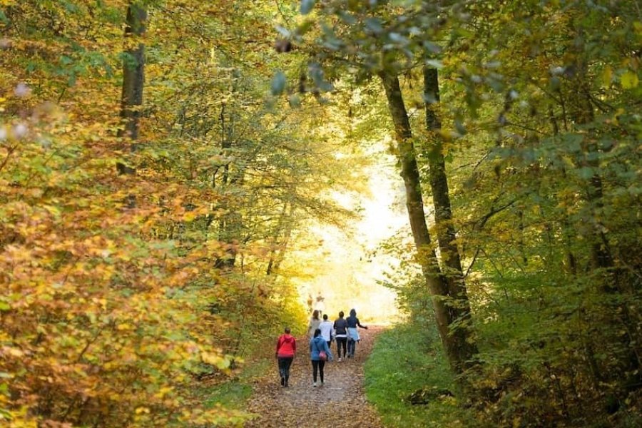 Premier coup de pioche du Minett-Trail !