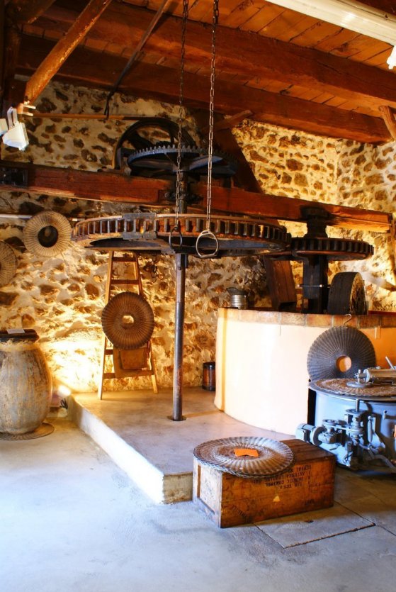 Le Domaine. - © VIEUX MOULIN À HUILE DU PARTEGAL