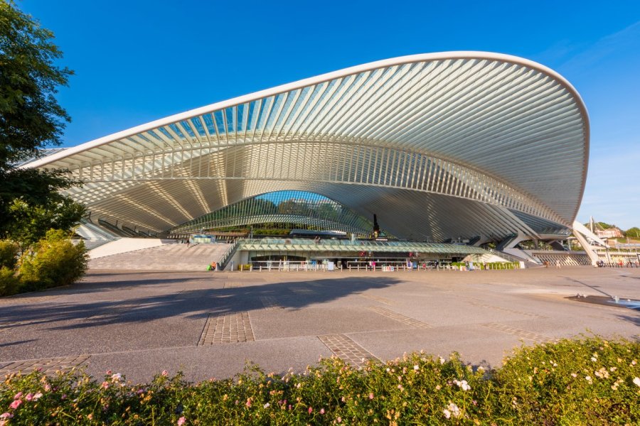 La gare de Liège-Guillemins en Belgique.