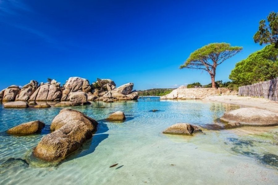 Plage de Palombaggia, en Corse