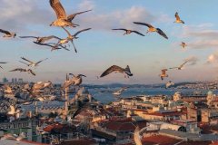 Tourisme médical : pourquoi choisir la Turquie pour une greffe de cheveux ?