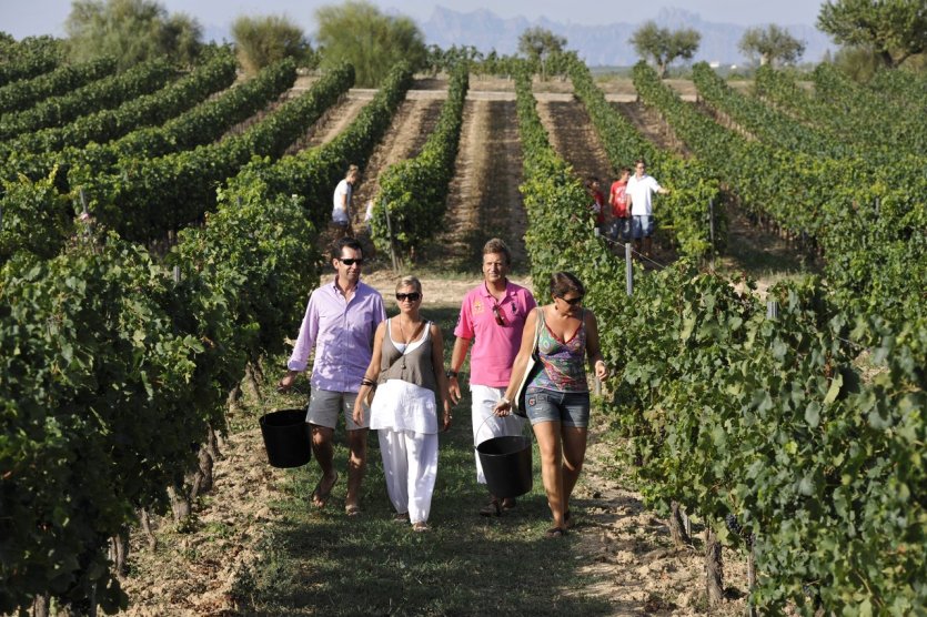 Vilafranca del Penedes, Bodegas Torres - © DR