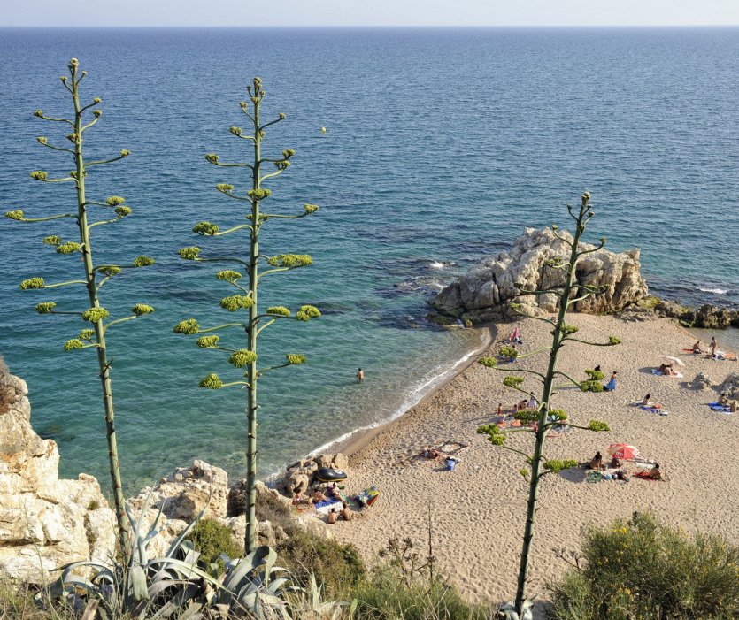 Maresme, Calella, Roca Grossa - © DR
