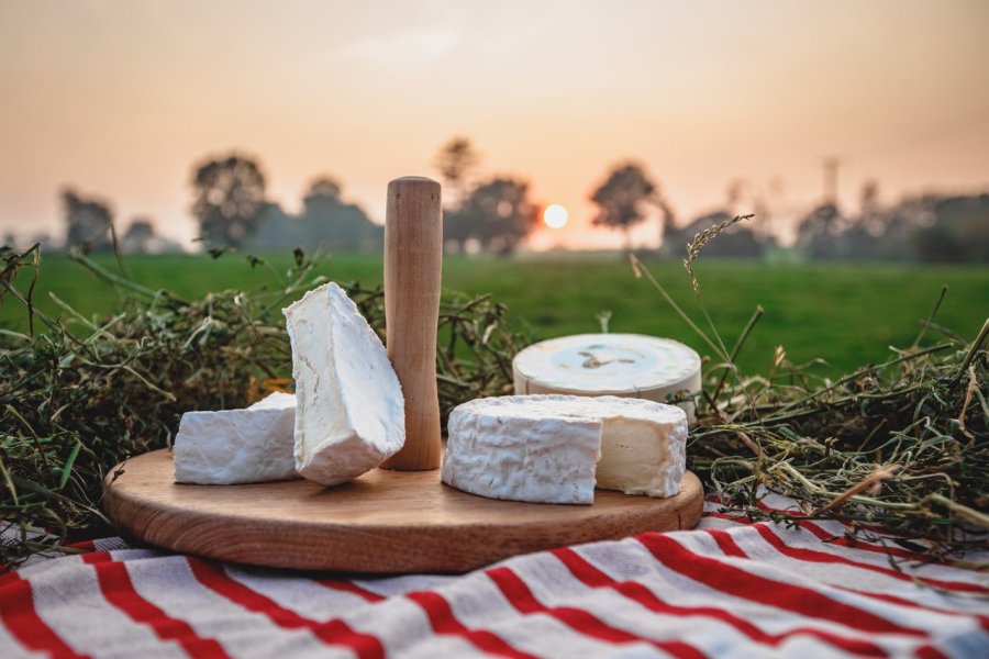 Séjourner en Normandie pour découvrir sa riche gastronomie