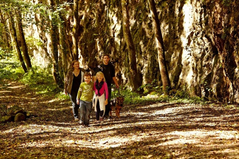 Les nombreux points forts qui jalonnent le parcours vous montrent la nature unique de l'Eifel volcanique et vous font voyager dans le temps. Découvrez les histoires enflammées de l'Eifel volcanique. La Géo-Route vous emmène vers de nombreux témoignages du passé explosif de Bad Bertrich. Neuf volcans étaient actifs ici il y a environ 50 000 ans et ont façonné la région avec des formations géologiques intéressantes. Apprenez à connaître cette histoire géologique d'une manière très particulière et profitez en même temps de vues panoramiques à couper le souffle. Le sentier présente une montée de 270 mètres d'altitude. Il reste à cette altitude pendant deux kilomètres et retourne ensuite dans la vallée. Bad Bertrich a une histoire variée et importante. Les Romains connaissaient déjà les propriétés curatives de l'eau de la vallée de l'Üssbach. Un réseau de sentiers bien balisés autour de la ville thermale conduit les amateurs de randonnée et de nature vers des points de vue intéressants, des sites historiques - © Vera Merten / GesundLand Vulkaneifel, © GesundLand Vulkaneifel/M. Rothbrust