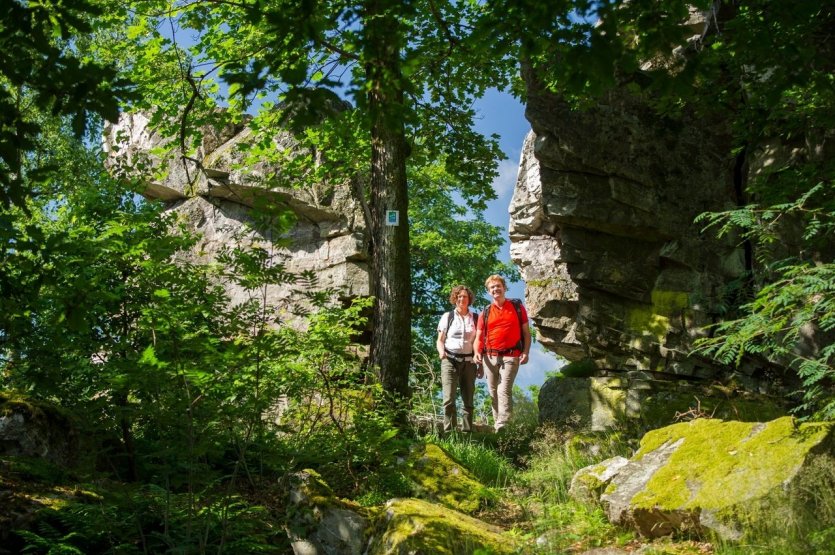 Avec 9,1 kilomètres et seulement 300 mètres d'altitude, la boucle de rêve du parc national de la forteresse de Kirschweiler peut être parcourue confortablement en trois bonnes heures. Avec 9,1 kilomètres et seulement 300 mètres d'altitude, la boucle de rêve du parc national de la forteresse de Kirschweiler peut être parcourue confortablement en trois bonnes heures. Il est recommandé de porter de bonnes chaussures car plus de la moitié du sentier passe par des chemins nouvellement créés et traverse le dépôt de rochers du Ringskopf. Le sentier est marqué