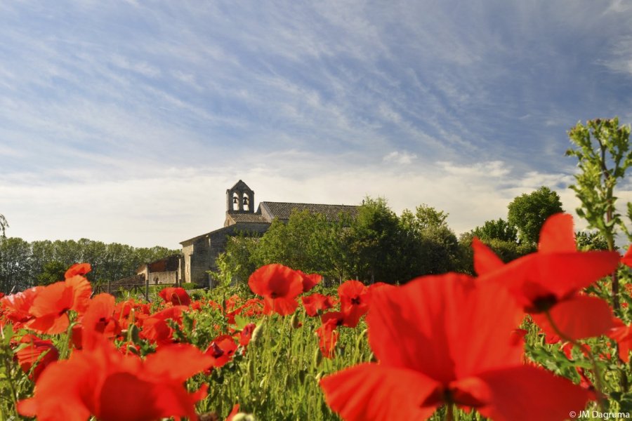 Salagon, musée et jardins : le plaisir de redécouvrir de belles expositions cet été