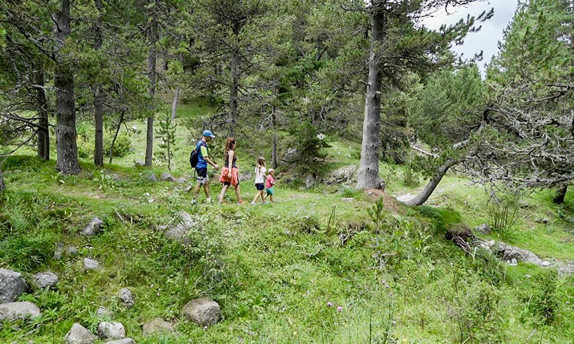 Excursion dans les fôrets de La Molina - © Pixion (FGC)