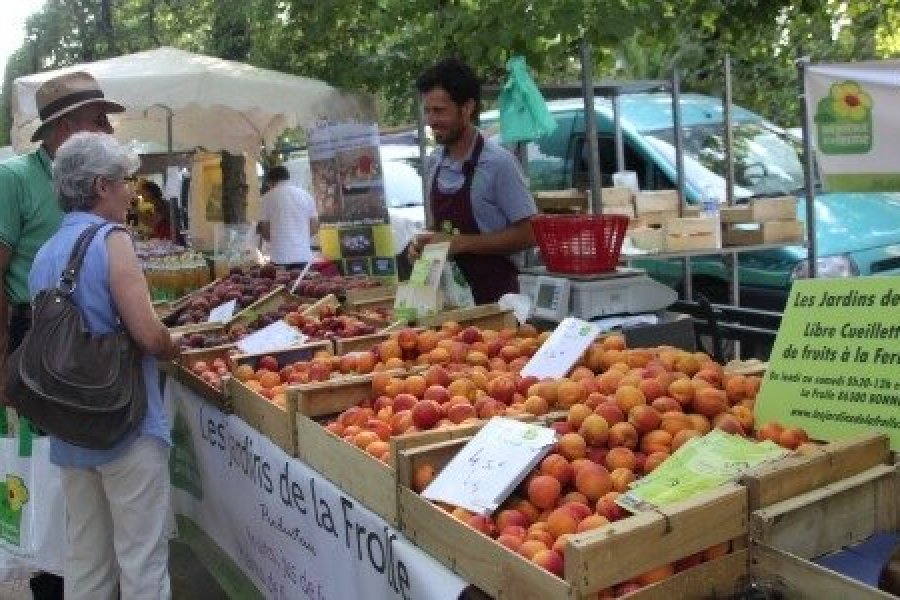 Les Marchés des producteurs animent la Vienne tout l'été