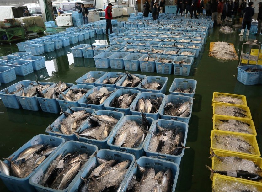 Marché de Kure Katsuo - © Nakatosa