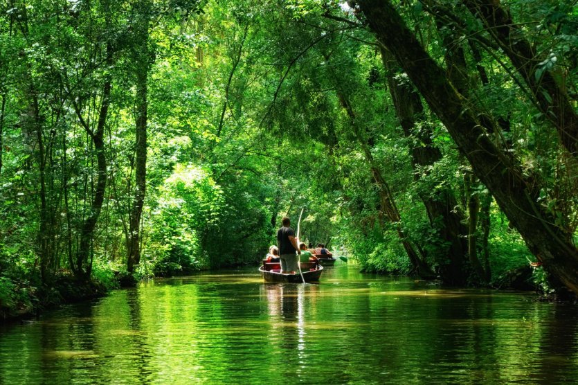 Balade en barque dans le marais Poitevin. - © bensliman hassan - Shutterstock.com