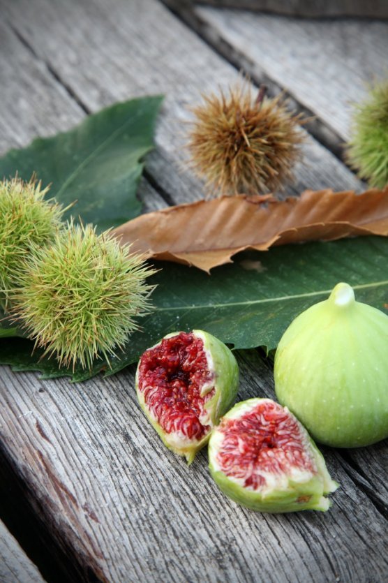 Figues - © Sylvain Alessandri