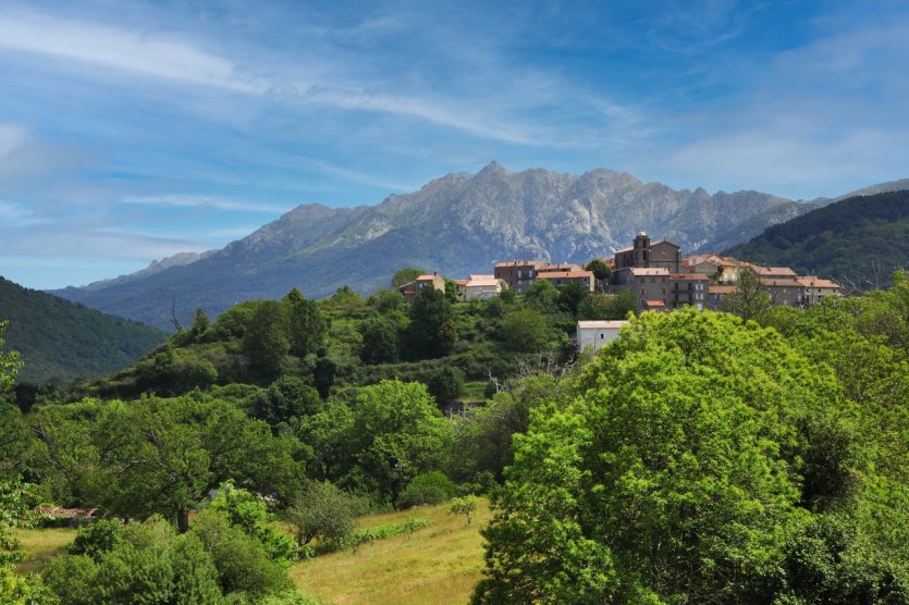 Cozzano - © Sylvain Alessandri