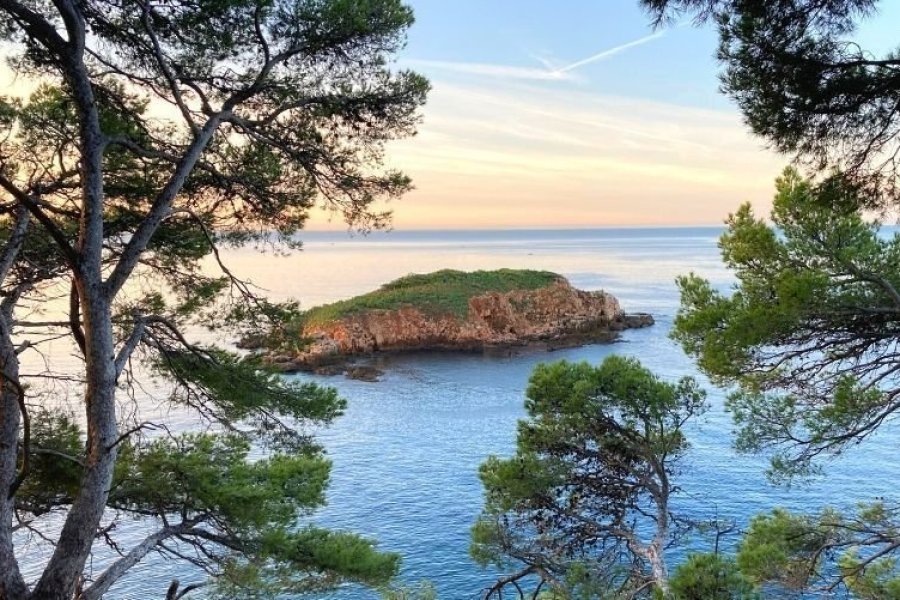 Top 5 des coins cachés de Bandol à découvrir à pied