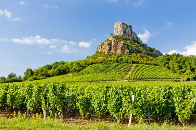 Au coeur des vignobles de Bourgogne - © phbcz - iStockphoto.com