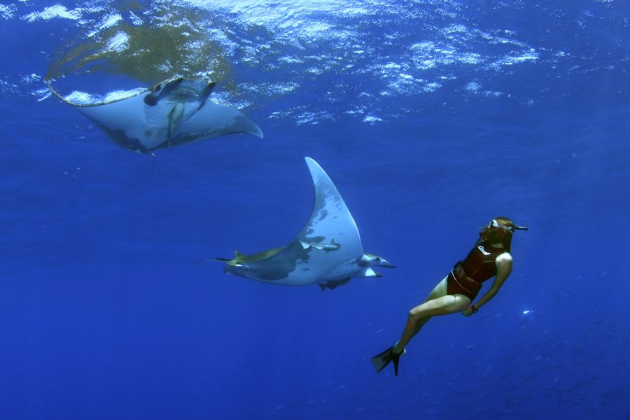 Pratiquer la plongée sous-marine aux Açores