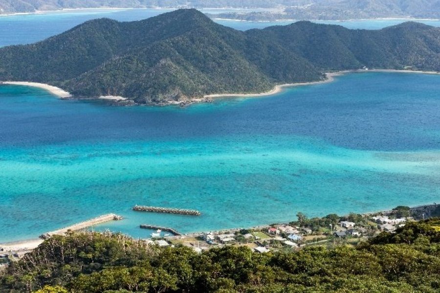 Quatre îles du Sud-Ouest du Japon classées au patrimoine mondial de l'UNESCO