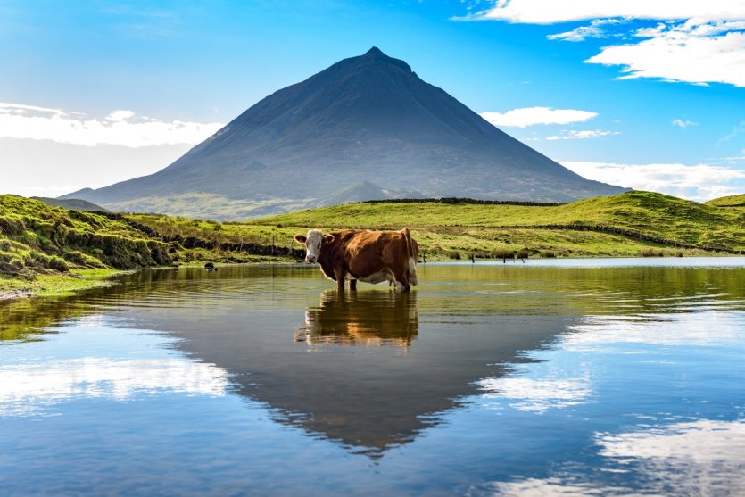 - © Benjamin van der Spek - Shutterstock.com