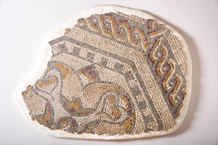 Mosaïques des thermes d’Alincourt - © Alain Huon