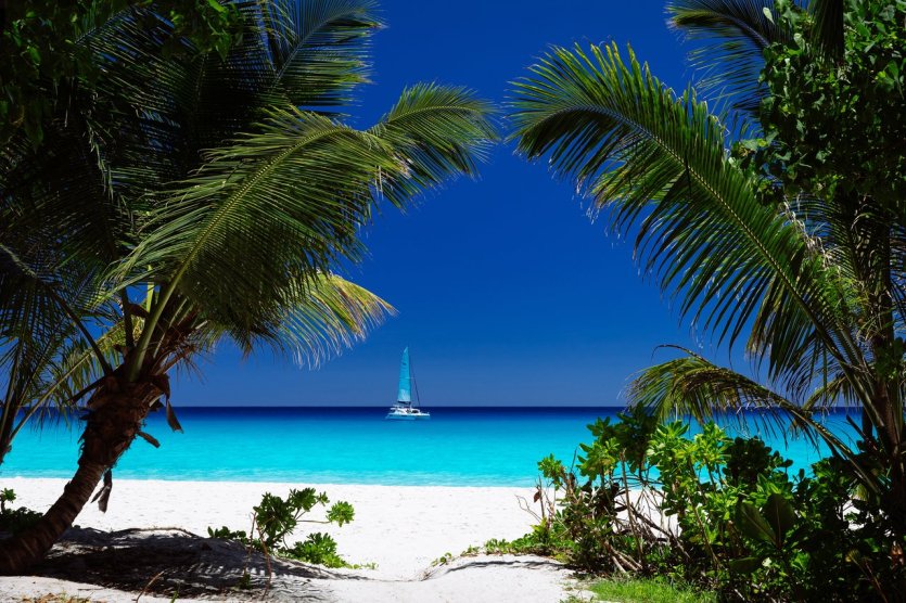 Anse Georgette - © Torsten Dickmann