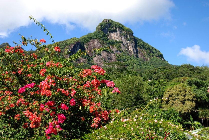 Morne Blanc - © Gerard Larose-STB
