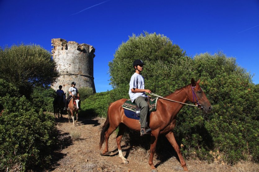 Tourisme équestre. - © Sylvain Alessandri