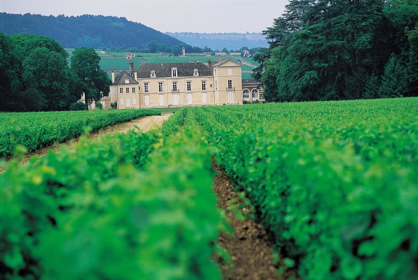 - © Côte-d'Or Tourisme / R. KREBEL