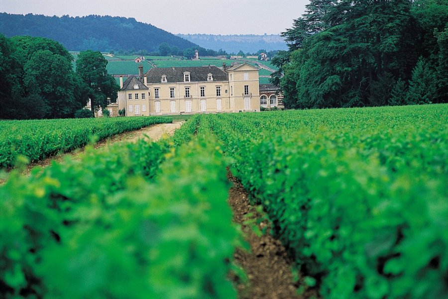 La Côte-d'Or, entre écrins de nature et fleurons du patrimoine