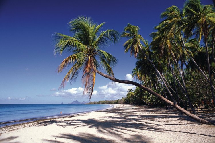 La Martinique, carte postale du paradis : Martinique