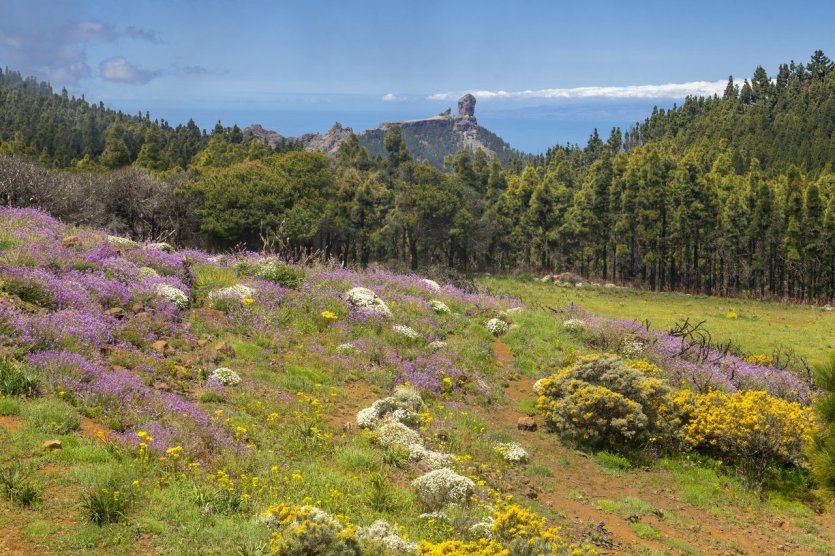 Roque Nublo - © Gran Canaria
