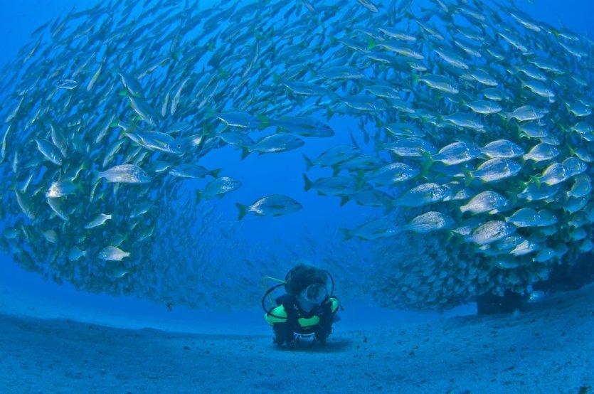 Plongée - © Gran Canaria