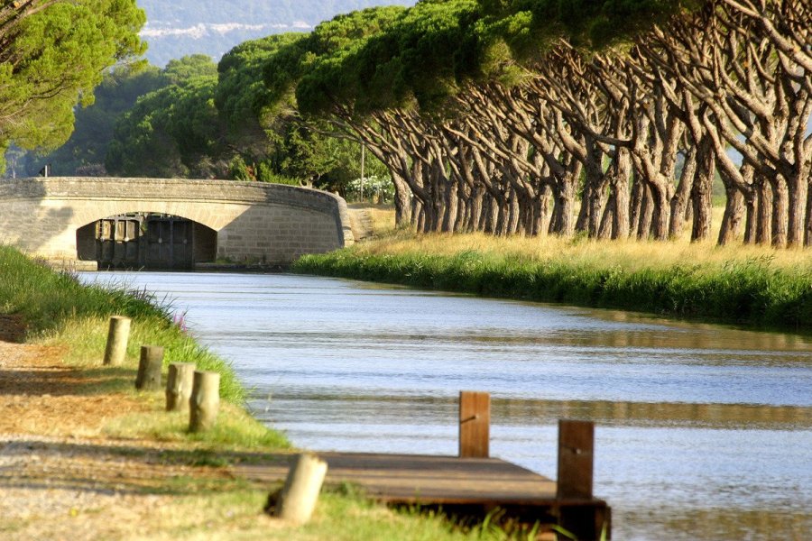 Canal de la Jonction