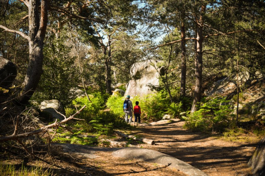 10 destinations pour se rapprocher de la nature quand on vit à Paris en 2025