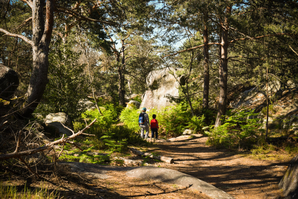 Forêt de Fontainebleau - destinations nature autour de Paris