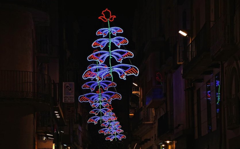 Illuminations de Noël - © Ángel Reynal