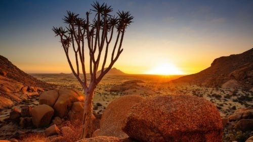 Damaraland - © DR