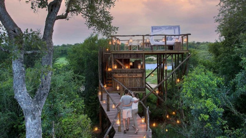 Safari voyage de noces - © DR