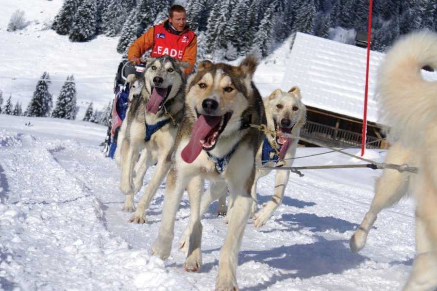 La Savoie à l'heure de la Grande Odyssée 2022