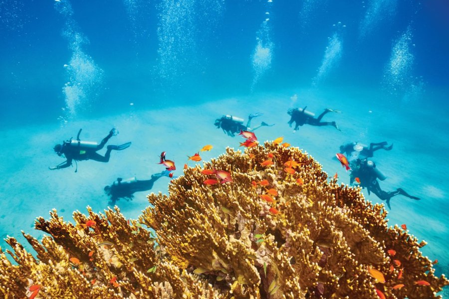 La mer Rouge, farniente et plongée en Égypte