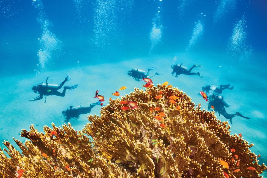 La mer Rouge, farniente et plongée en Égypte