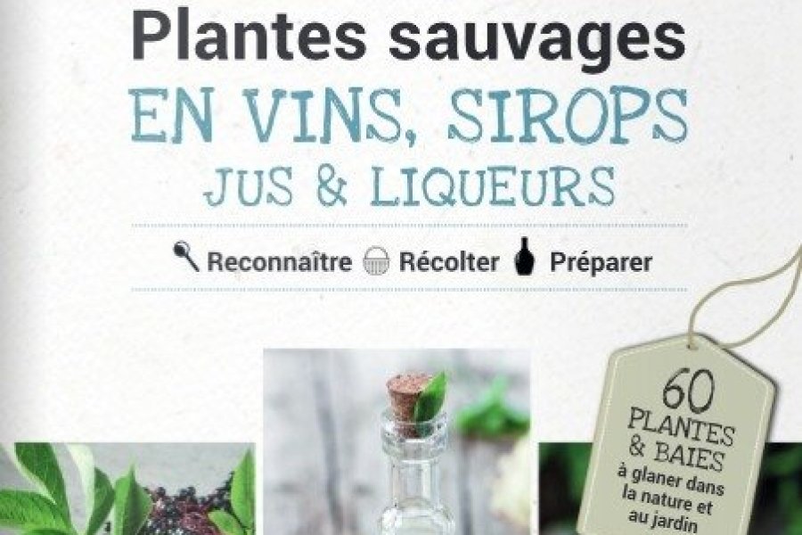 Conseil lecture : ouvrage pour concocter vos boissons à partir de la cueillette du jardin