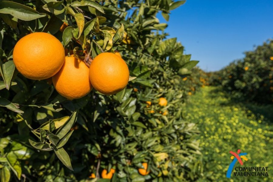 10 étapes de charme dans la région de Valence