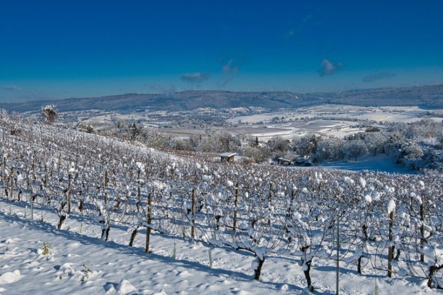 Top 10 des lieux incontournables à visiter l'hiver en Forêt-Noire