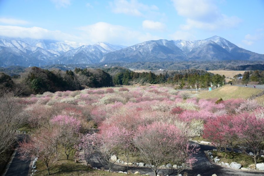 Inabe My New Home town